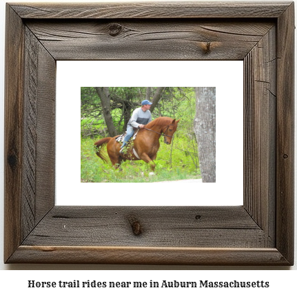 horse trail rides near me in Auburn, Massachusetts